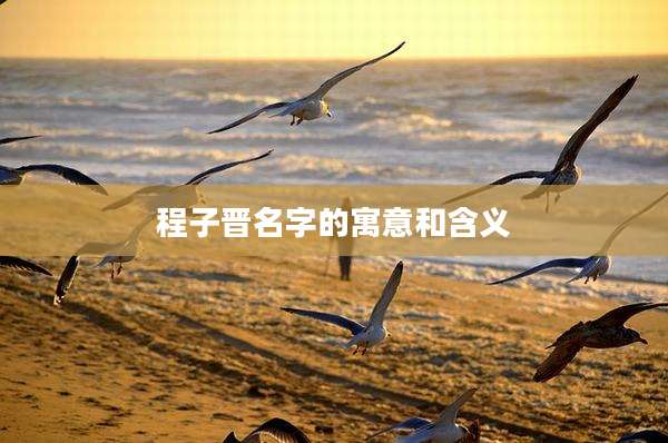 程子晋名字的寓意和含义