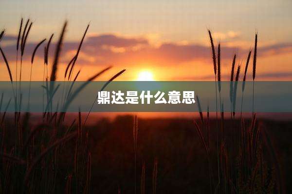 鼎达是什么意思