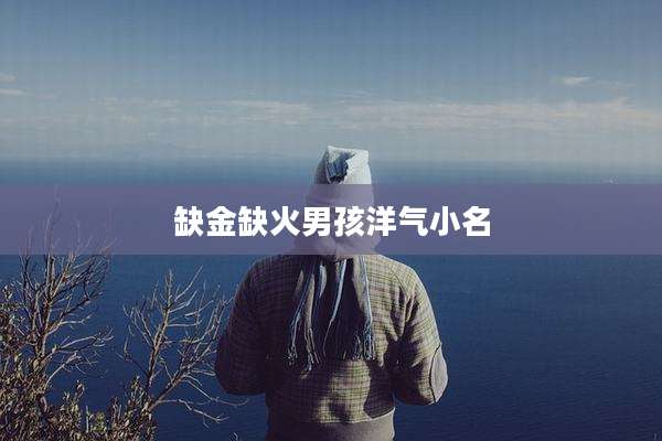 缺金缺火男孩洋气小名