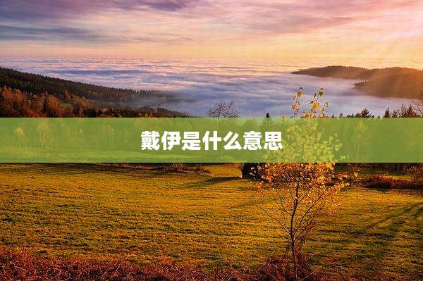 戴伊是什么意思