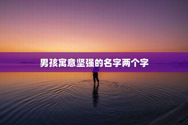 男孩寓意坚强的名字两个字