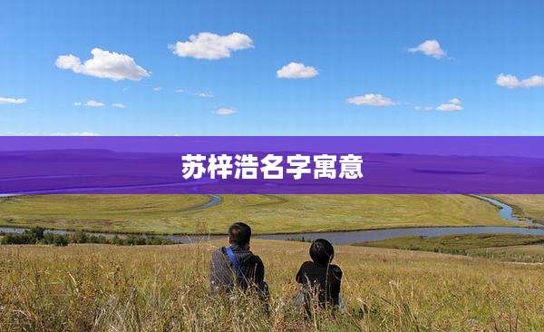 苏梓浩名字寓意