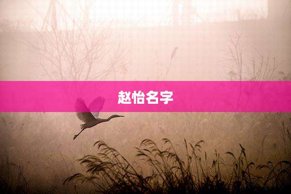 赵怡名字