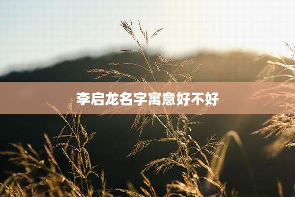 李启龙名字寓意好不好