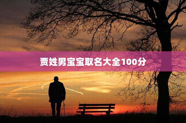 贾姓男宝宝取名大全100分
