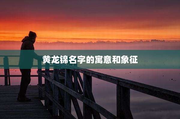 黄龙锦名字的寓意和象征