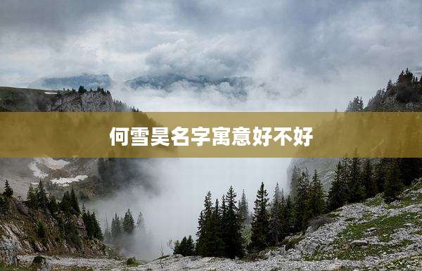 何雪昊名字寓意好不好