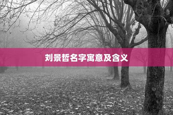 刘景哲名字寓意及含义