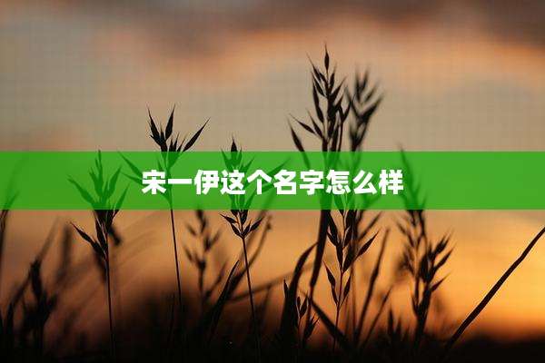 宋一伊这个名字怎么样