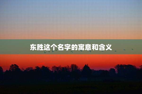 东胜这个名字的寓意和含义