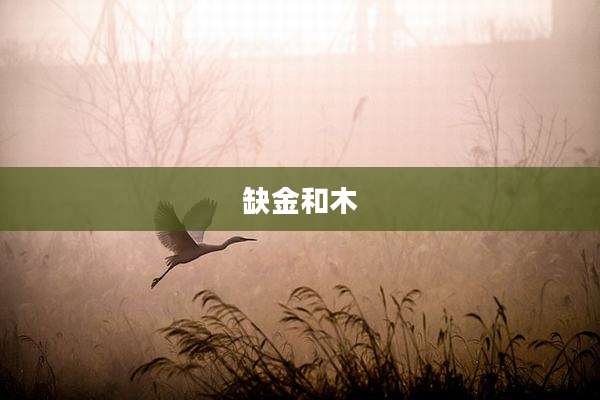 缺金和木