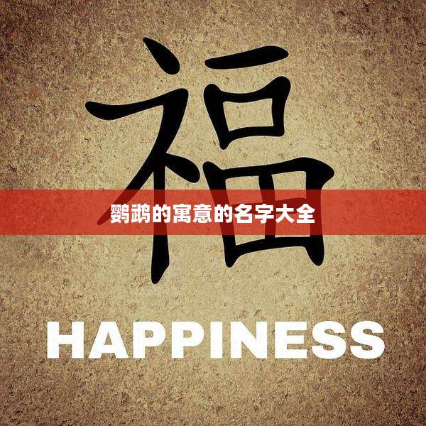 鹦鹉的寓意的名字大全