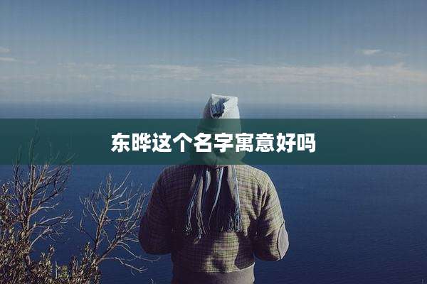 东晔这个名字寓意好吗