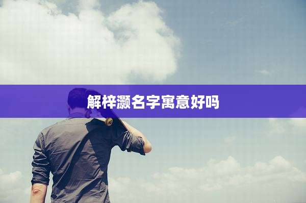 解梓灏名字寓意好吗