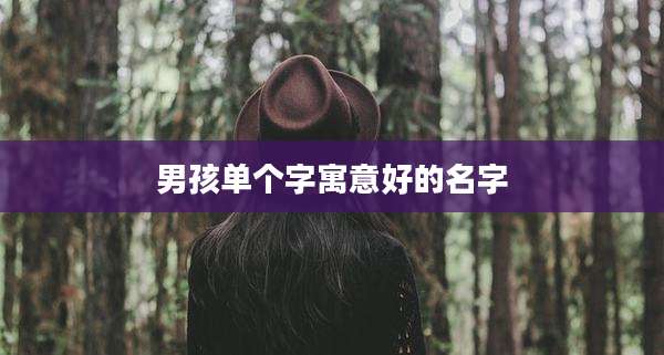 男孩单个字寓意好的名字