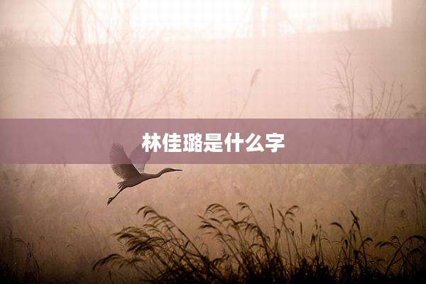 林佳璐是什么字