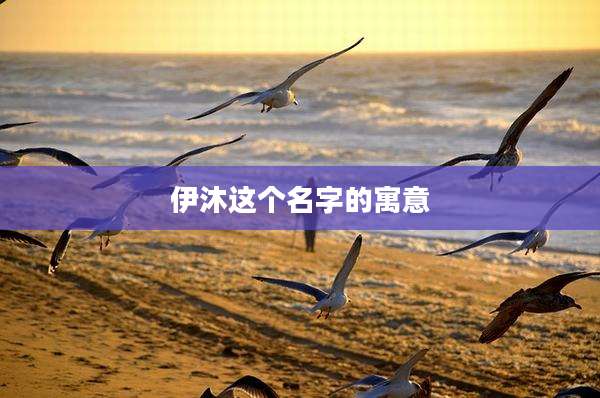 伊沐这个名字的寓意