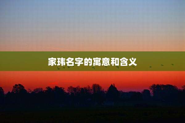 家玮名字的寓意和含义