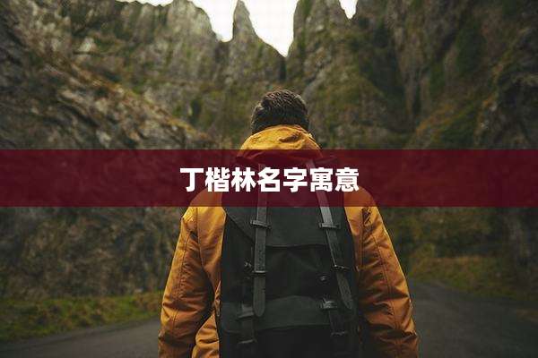丁楷林名字寓意