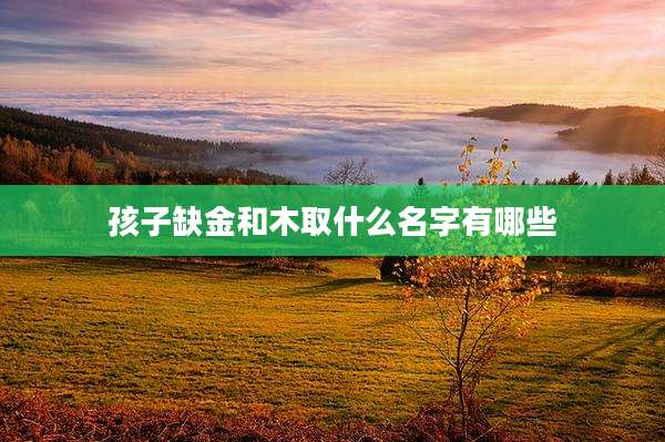 孩子缺金和木取什么名字有哪些