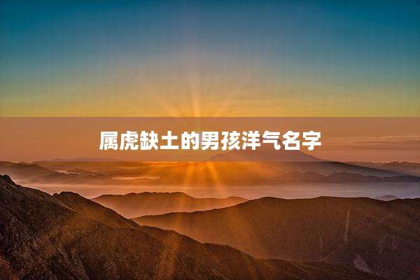 属虎缺土的男孩洋气名字