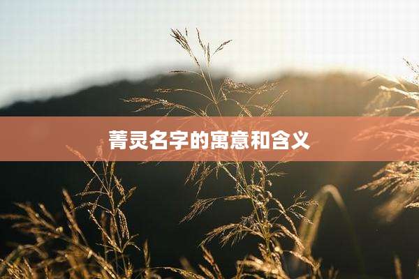 菁灵名字的寓意和含义