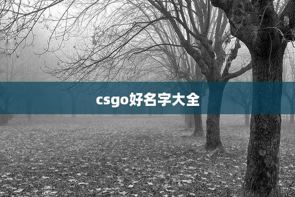 csgo好名字大全
