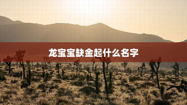 龙宝宝缺金起什么名字
