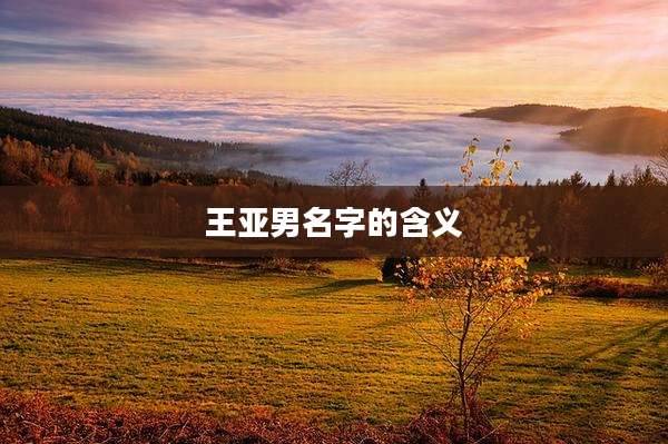 王亚男名字的含义