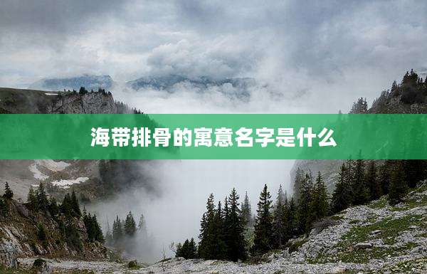 海带排骨的寓意名字是什么