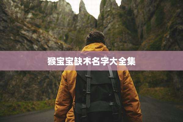 猴宝宝缺木名字大全集