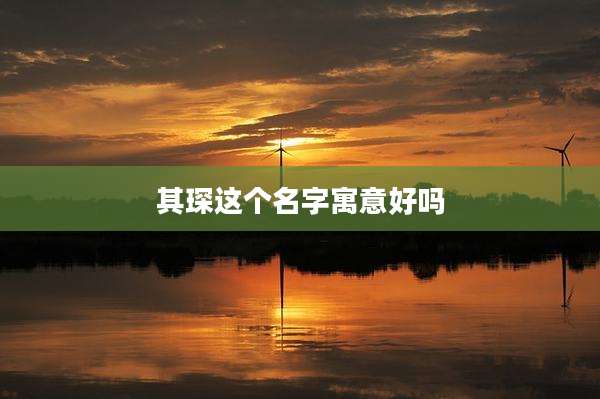 其琛这个名字寓意好吗