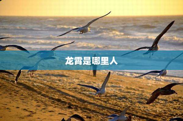 龙霄是哪里人