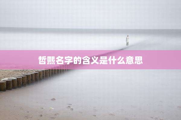 哲熙名字的含义是什么意思