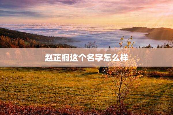 赵芷桐这个名字怎么样