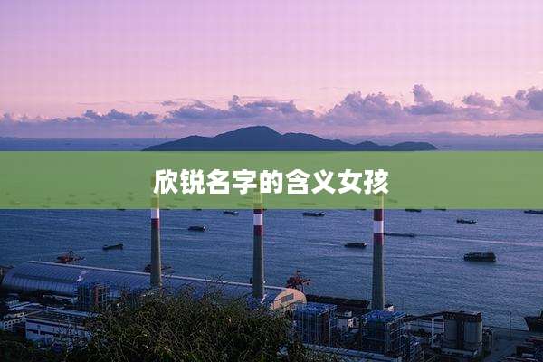 欣锐名字的含义女孩