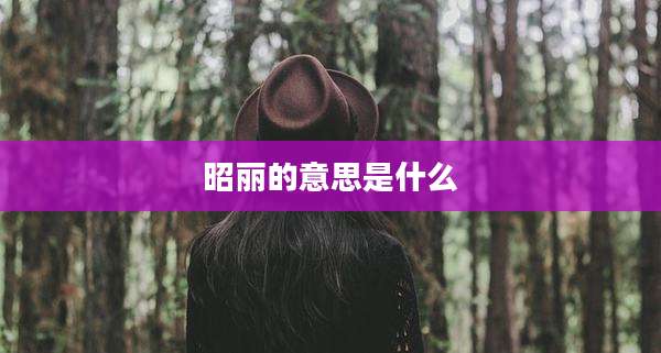 昭丽的意思是什么