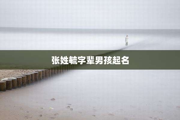 张姓毓字辈男孩起名