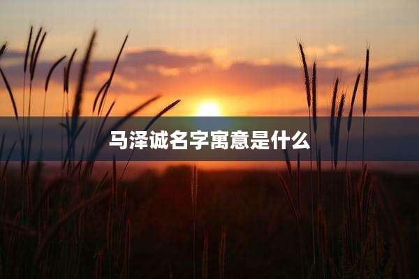 马泽诚名字寓意是什么