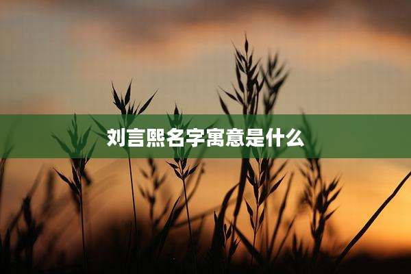 刘言熙名字寓意是什么