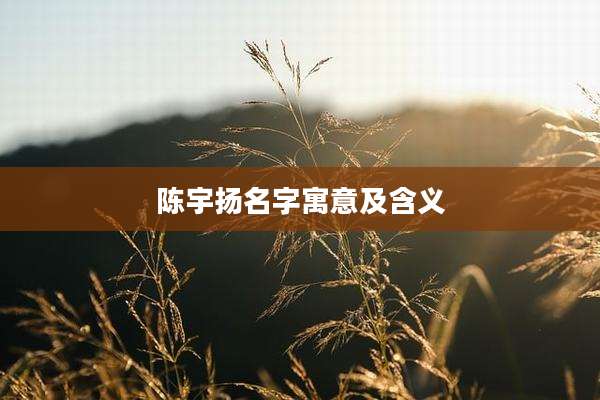陈宇扬名字寓意及含义