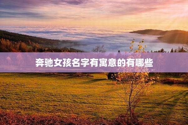 奔驰女孩名字有寓意的有哪些