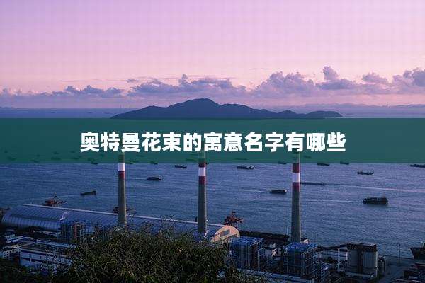 奥特曼花束的寓意名字有哪些