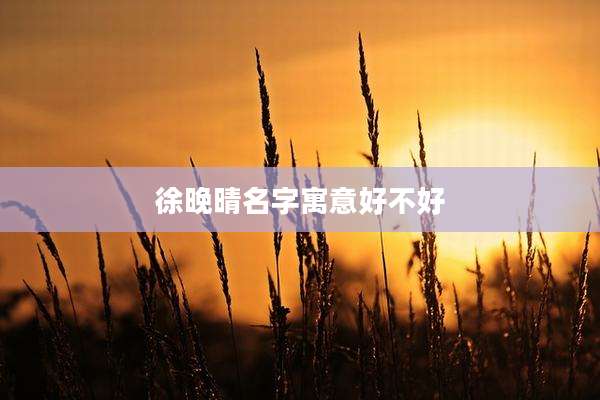 徐晚晴名字寓意好不好