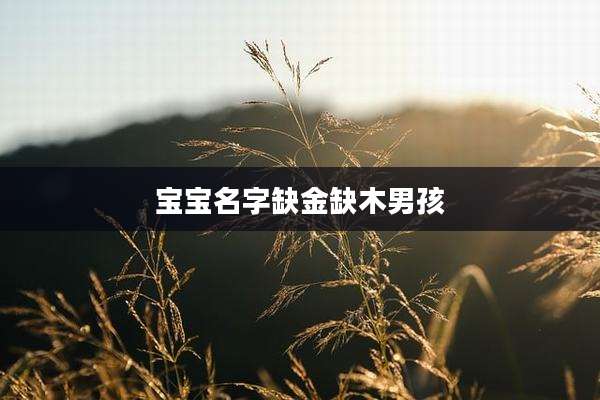宝宝名字缺金缺木男孩