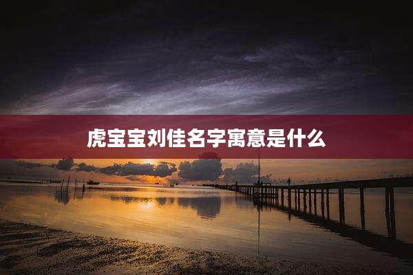 虎宝宝刘佳名字寓意是什么