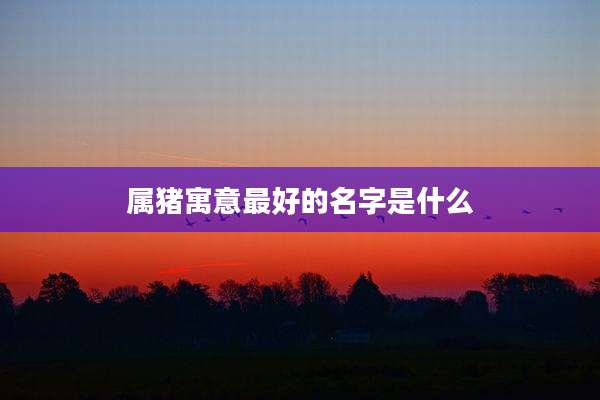 属猪寓意最好的名字是什么