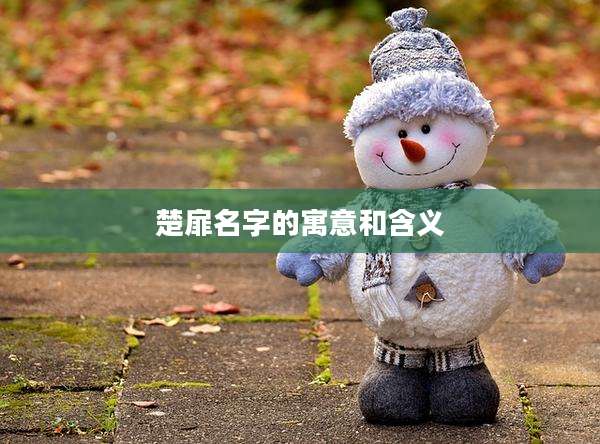 楚扉名字的寓意和含义