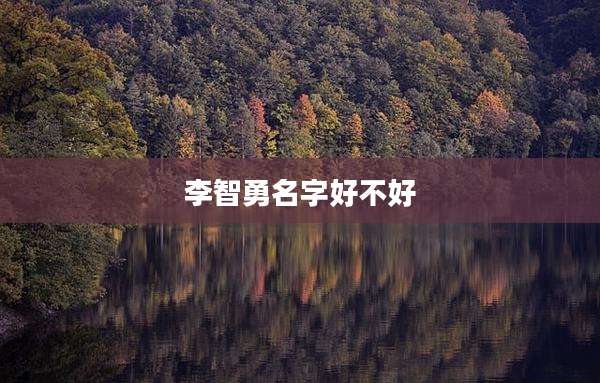 李智勇名字好不好