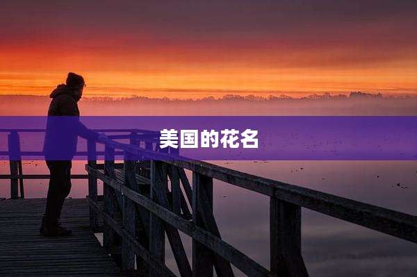 美国的花名